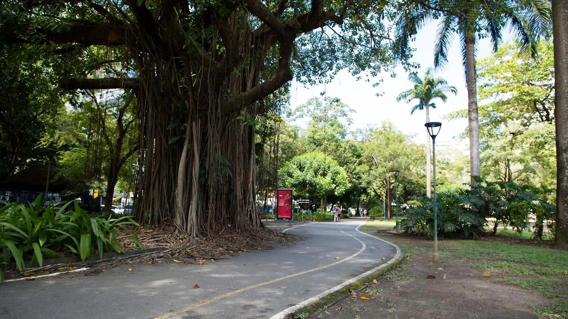 Localizacao Espetacular - Zona Norte - Sem Taxas レシフェ ブラジル